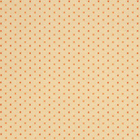 44163-0003 Tab Tangerine